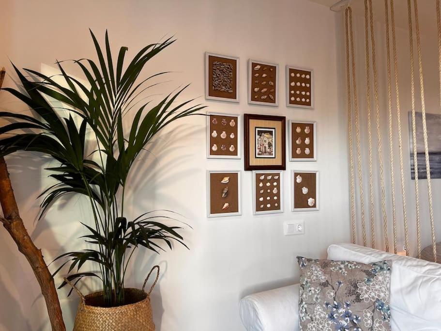 Ocean Dream Apartments - Lovely Sea View Studio Apartment 5Min From Beach San Marcos  Exterior photo